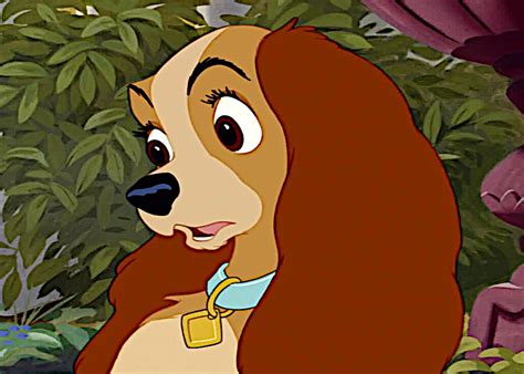 Lady - Disney's Lady and the Tramp Photo (40962706) - Fanpop
