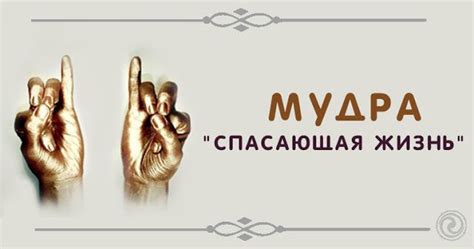 Мудра «Спасающая жизнь» — Эзотерика и самопознание | Центр развития ...