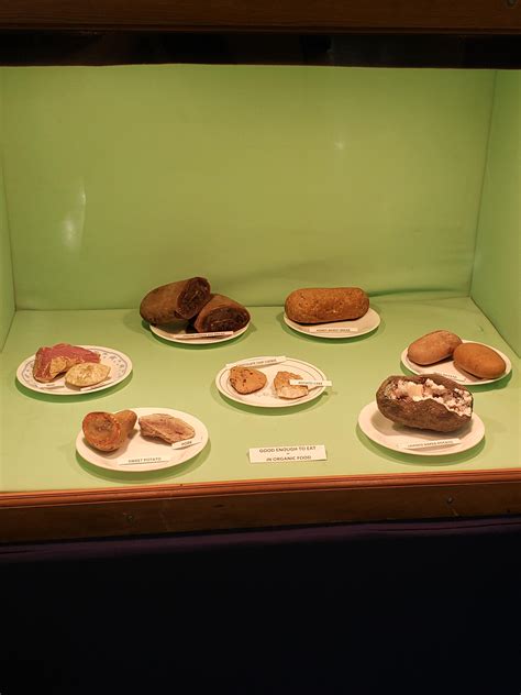 Minerals that look like Food display at the Tulsa Mineral and Gem Show