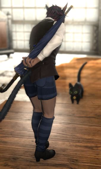 blue mage  eorzea collection