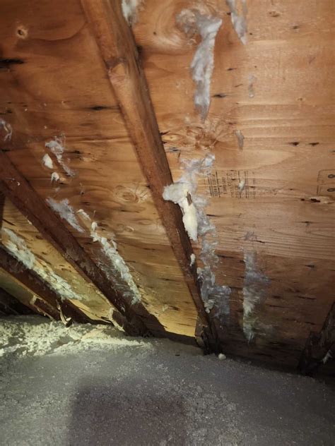Attic Mold Remediation