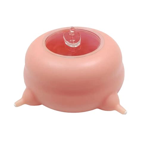 Pet Milk Feeding Device Newborn Puppy Feeder 3 Nozzles Milk Bowl For ...
