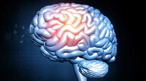 Amnesia: What is Amnesia?