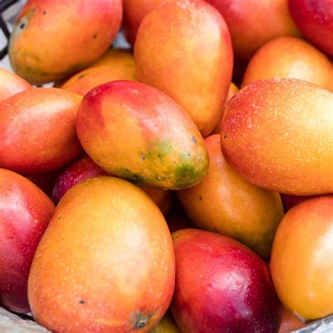 Mango 100%