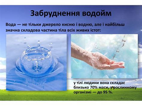 Забруднення навколишнього середовища - презентация онлайн