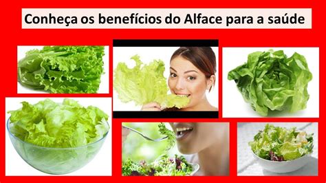 Alface Americana – Mundo Ecologia