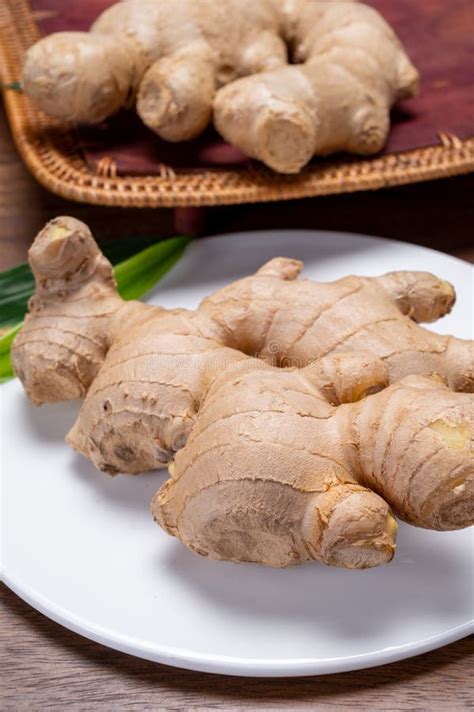 fresh ginger rhizome root   traditional medicines