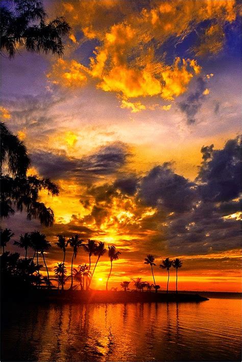 Sunset silhouette photography ~ Dreamy Nature