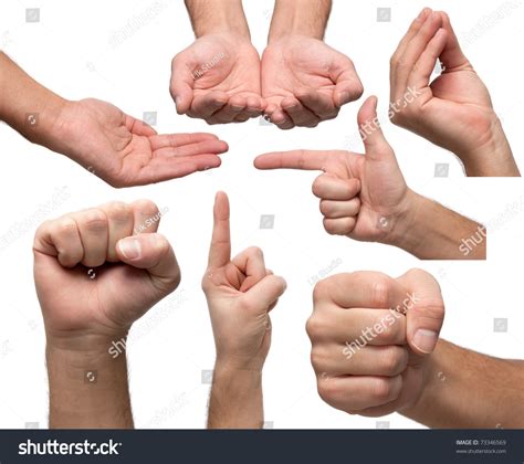 Hands Various Positions Isolated On White Stock Photo 73346569 ...