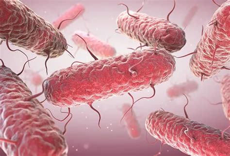 How Do You Get Infected With Serratia?