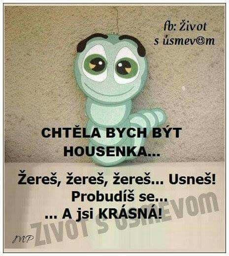 Citáty | Humor, Jokes, Quotations