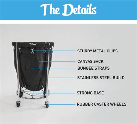 The Rise Of Lifter Hamper: A 2021 Net Worth Breakdown