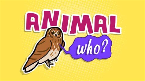 8 Pics Tvokids Games And Review - Alqu Blog