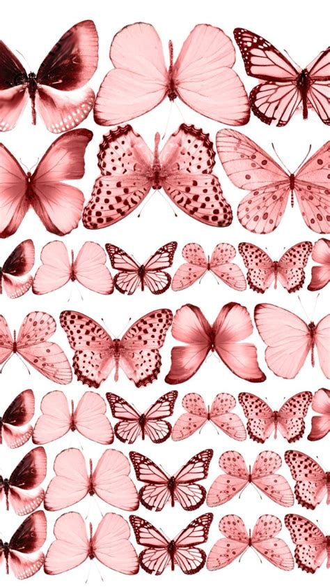 Delicate Pink Butterflies