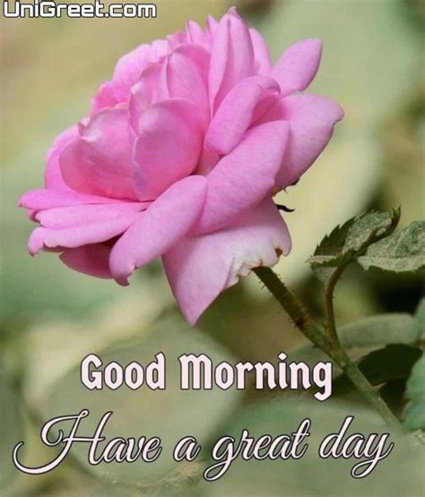 good morning hd wallpapers  infoupdateorg