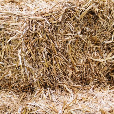 straw bales rapid city  helen ervin blog