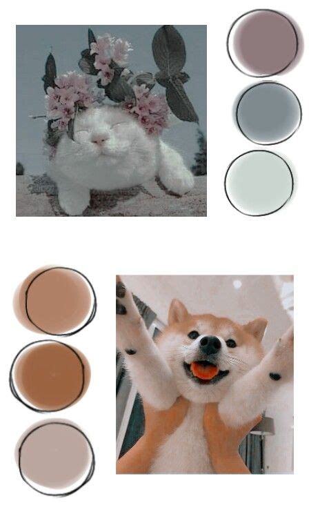 shiba inu colors palette - For The Successful Site Diaporama