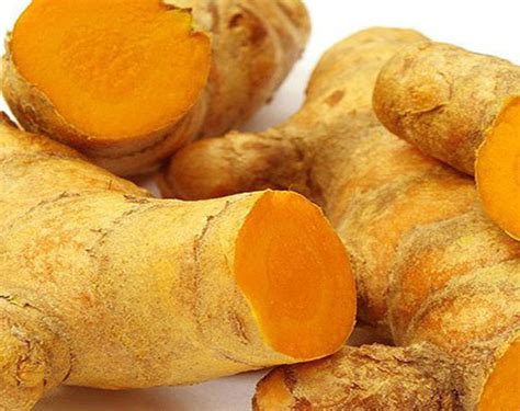 fresh ginger exporter manufacturer shardaa exim