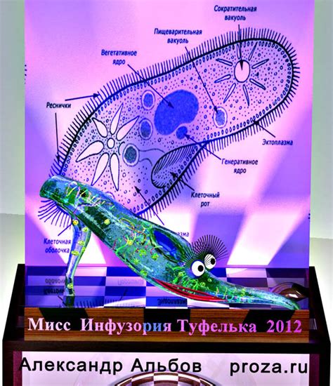 Инфузория туфелька. Первая красавица (Александр Альбов) / Проза.ру