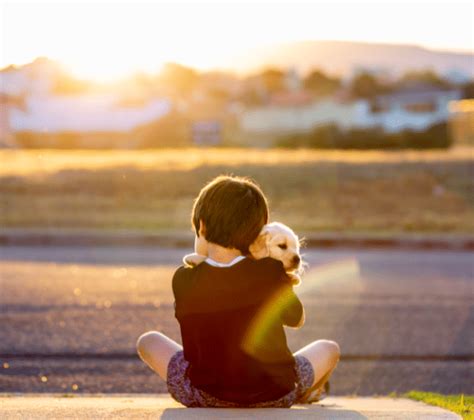 article  kindness universal values uef foundation