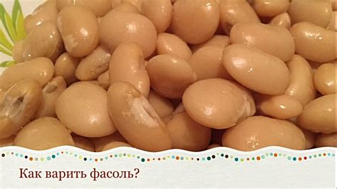 КАК ВАРИТЬ БЕЛУЮ ФАСОЛЬ? Сколько варить фасоль?/Полезные советы молодой ...