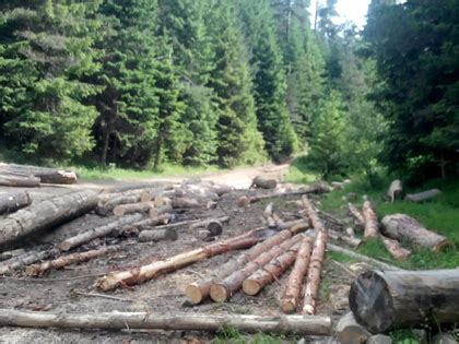 География: Природни ресурси
