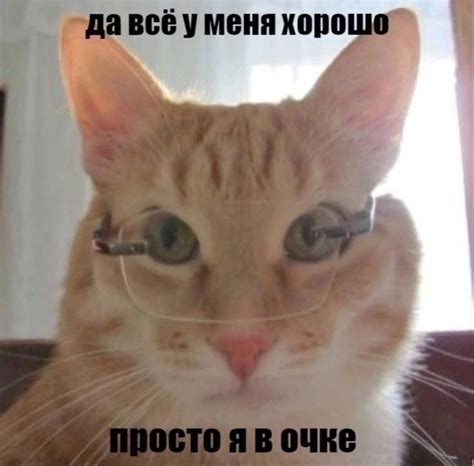 Чай з варэннем on Twitter | Мемы, Веселые мемы, Смешные мемы