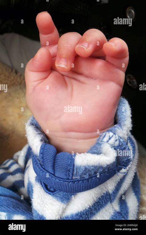 baby, hand, babe, babies, human babies, hands Stock Photo - Alamy
