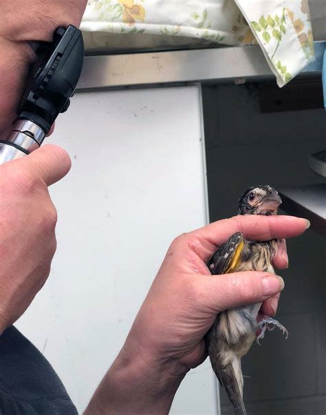 Two-factor steps will secure the twc unemployment login soon 3