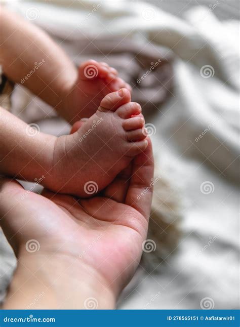 The Tiny Foot Of A Newborn Baby. Soft Feet Of A New Born In A Wool