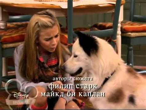 Собака точка ком 1 сезон, 11 1 серия - YouTube