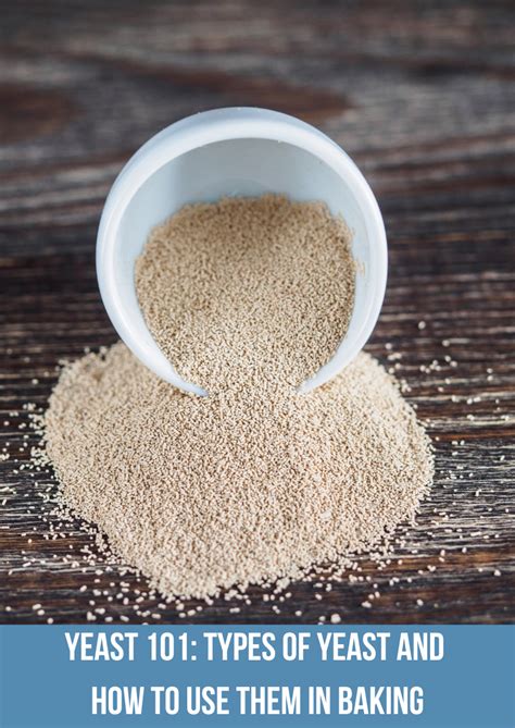 yeast  types  yeast       baking vintage