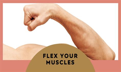 Parts of the Bicep - Healthy Mens