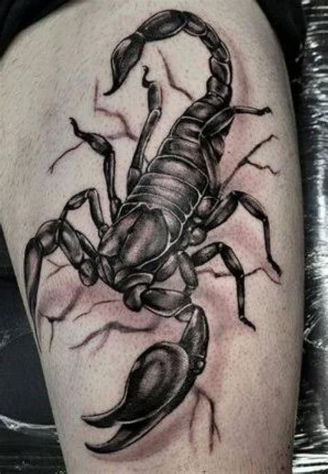 O'que Significa Tatuagem De Escorpião - Tatuagem de Escorpião: Significado, ideias e Inspirações