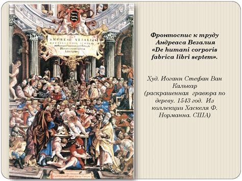 Медицина Западной Европы в эпоху Возрождения ( конец XIV – начало XVII ...