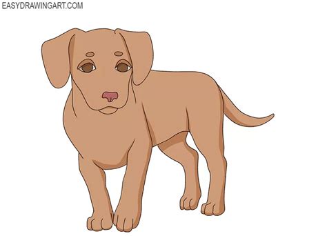 how to draw small dog