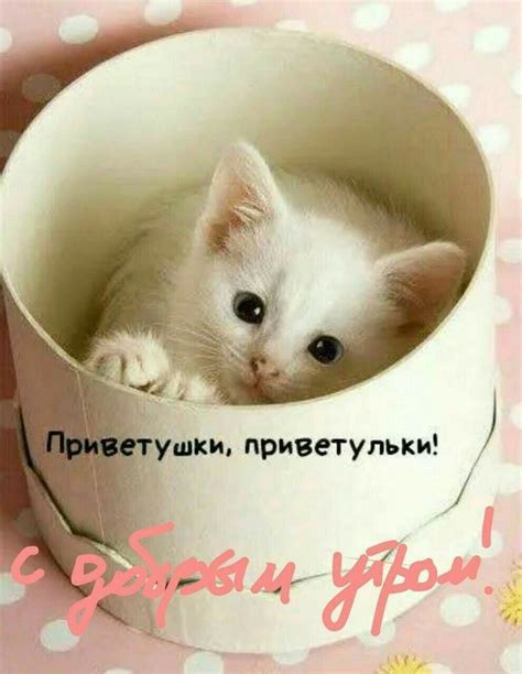 GIF "МОЯ ЛЮБИМАЯ ГРУППА!"С Днём Рождения — Доброе утро! Добрый день ...