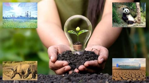 conservation  amazing facts  discover