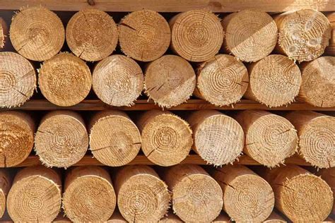 Cylindrical Wooden Poles | Buy Directly from the Manufacturer