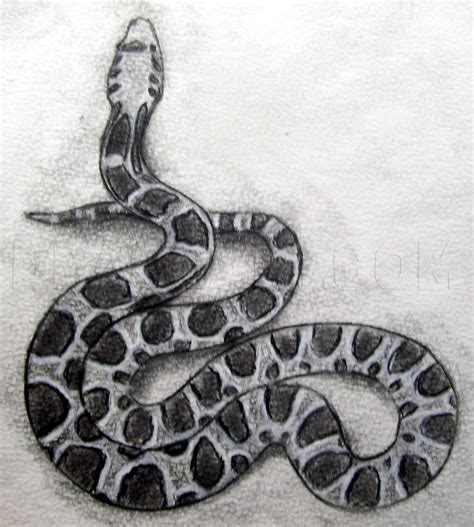 snake drawing