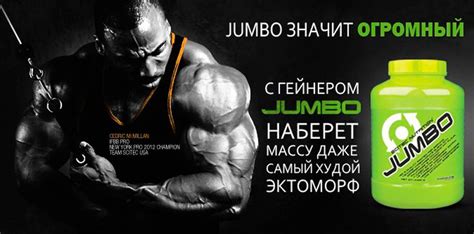Jumbo от Scitec Nutrition: как принимать, состав и отзывы
