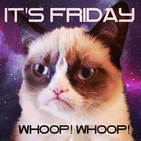 It's already Friday. No way! #grumpycat #cat #meme #landofmemes #friday ...