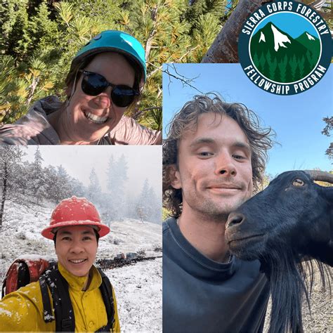 News: Congratulations to the Three Forestry Fellow Grads! - Sierra