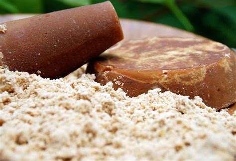 piloncillo pati jinich