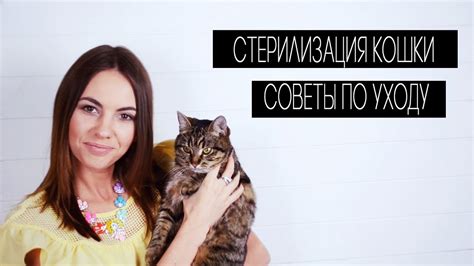 Стерилизация кошки . Советы по уходу - YouTube