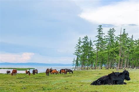 National Parks Of Mongolia - WorldAtlas