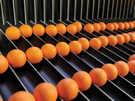 The 'Other Guys': The Master Pop-Up Maker