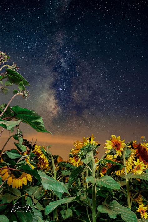 19 best u/marvelton images on Pholder | Earth Porn, Arkansas and