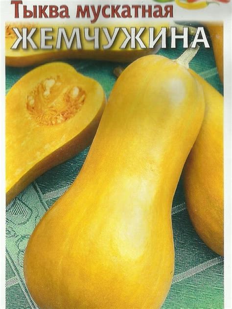Тыква мускатная - сорта с фото и описанием (таблица)