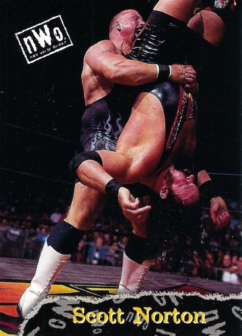 1998 Topps WCW/nWo #14 Scott Norton | Trading Card Database